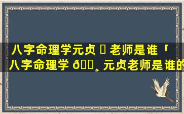 八字命理学元贞 ☘ 老师是谁「八字命理学 🕸 元贞老师是谁的」